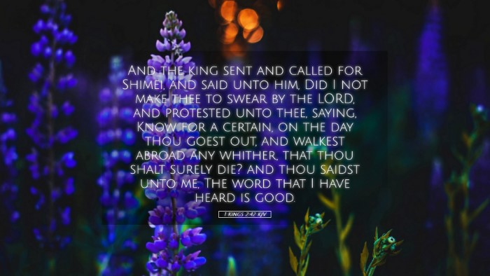 Picture 05 - 1 Kings 2:42 KJV Desktop Wallpaper - And the king sent and called for Shimei, and said - Desktop Bible Verse Wallpaper