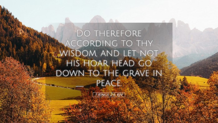 Picture 05 - 1 Kings 2:6 KJV Desktop Wallpaper - Do therefore according to thy wisdom, and let not - Desktop Bible Verse Wallpaper