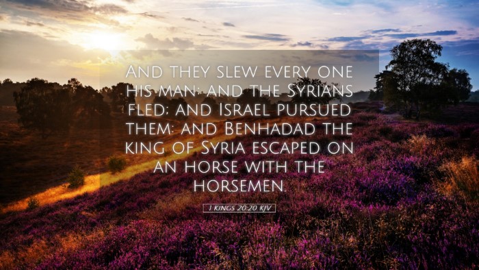 Picture 05 - 1 Kings 20:20 KJV Desktop Wallpaper - And they slew every one his man: and the Syrians - Desktop Bible Verse Wallpaper