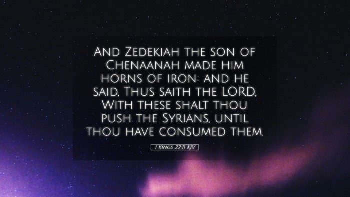 Picture 05 - 1 Kings 22:11 KJV Desktop Wallpaper - And Zedekiah the son of Chenaanah made him horns - Desktop Bible Verse Wallpaper