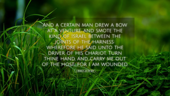 Picture 05 - 1 Kings 22:34 KJV Desktop Wallpaper - And a certain man drew a bow at a venture, and - Desktop Bible Verse Wallpaper