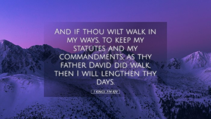 Picture 05 - 1 Kings 3:14 KJV Desktop Wallpaper - And if thou wilt walk in my ways, to keep my - Desktop Bible Verse Wallpaper
