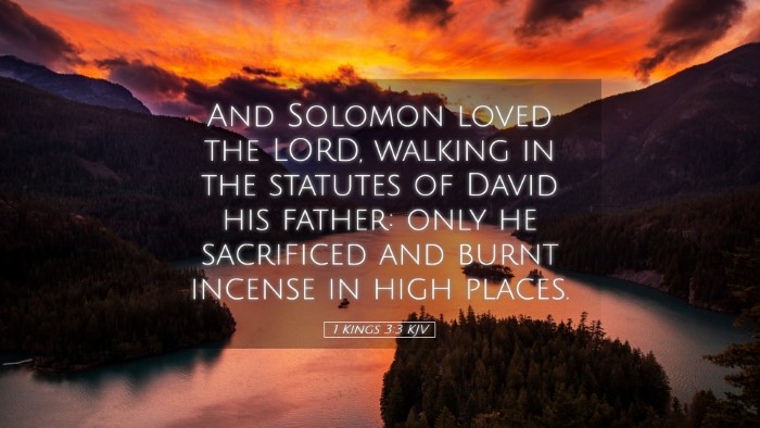 Picture 05 - 1 Kings 3:3 KJV Desktop Wallpaper - And Solomon loved the LORD, walking in the - Desktop Bible Verse Wallpaper