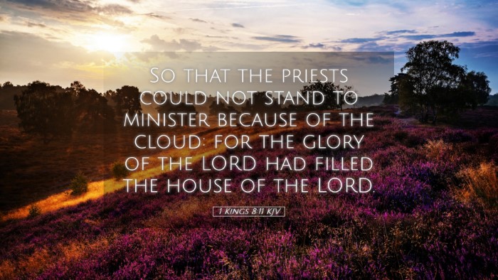 Picture 05 - 1 Kings 8:11 KJV Desktop Wallpaper - So that the priests could not stand to minister - Desktop Bible Verse Wallpaper