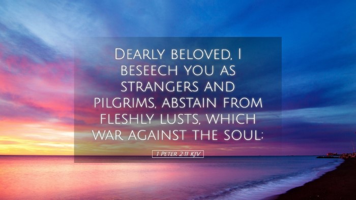 Picture 05 - 1 Peter 2:11 KJV Desktop Wallpaper - Dearly beloved, I beseech you as strangers and - Desktop Bible Verse Wallpaper