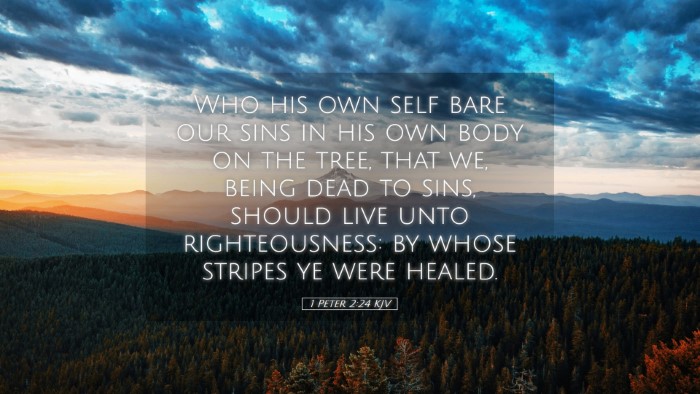 Picture 05 - 1 Peter 2:24 KJV Desktop Wallpaper - Who his own self bare our sins in his own body on - Desktop Bible Verse Wallpaper