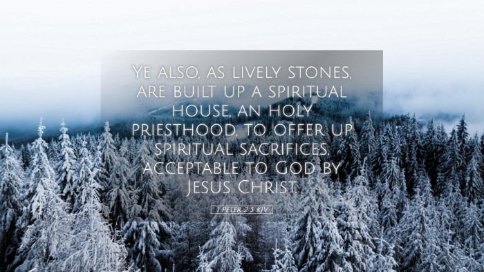Picture 05 - 1 Peter 2:5 KJV Desktop Wallpaper - Ye also, as lively stones, are built up a - Desktop Bible Verse Wallpaper