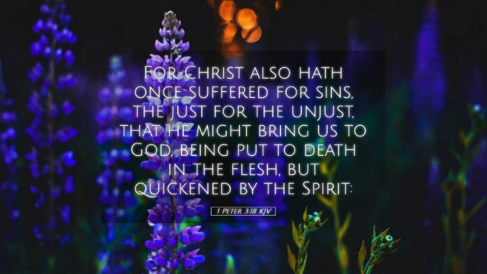 Picture 05 - 1 Peter 3:18 KJV Desktop Wallpaper - For Christ also hath once suffered for sins, the - Desktop Bible Verse Wallpaper