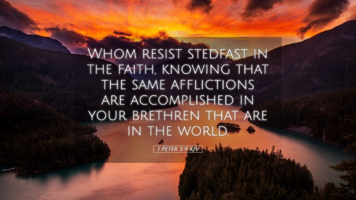 Picture 05 - 1 Peter 5:9 KJV Desktop Wallpaper - Whom resist stedfast in the faith, knowing that - Desktop Bible Verse Wallpaper
