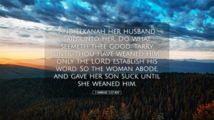 Picture 05 - 1 Samuel 1:23 KJV Desktop Wallpaper - And Elkanah her husband said unto her, Do what - Desktop Bible Verse Wallpaper