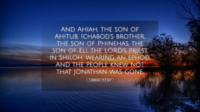 Picture 05 - 1 Samuel 14:3 KJV Desktop Wallpaper - And Ahiah, the son of Ahitub, Ichabod's brother, - Desktop Bible Verse Wallpaper