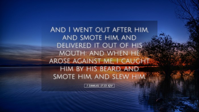 Picture 05 - 1 Samuel 17:35 KJV Desktop Wallpaper - And I went out after him, and smote him, and - Desktop Bible Verse Wallpaper
