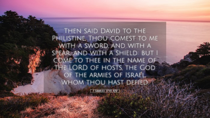 Picture 05 - 1 Samuel 17:45 KJV Desktop Wallpaper - Then said David to the Philistine, Thou comest to - Desktop Bible Verse Wallpaper