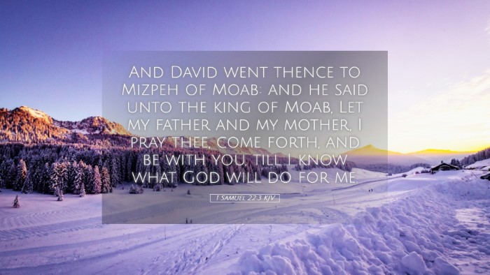 Picture 05 - 1 Samuel 22:3 KJV Desktop Wallpaper - And David went thence to Mizpeh of Moab: and he - Desktop Bible Verse Wallpaper