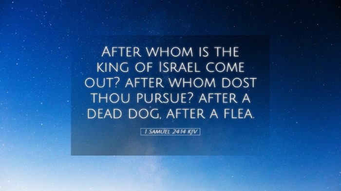 Picture 05 - 1 Samuel 24:14 KJV Desktop Wallpaper - After whom is the king of Israel come out? after - Desktop Bible Verse Wallpaper