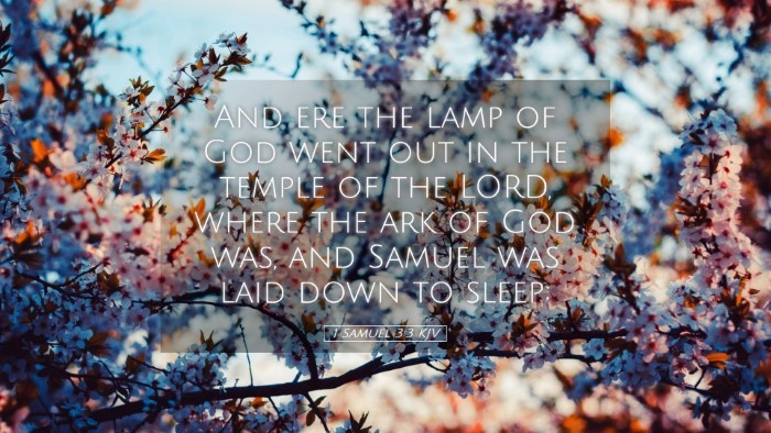 Picture 05 - 1 Samuel 3:3 KJV Desktop Wallpaper - And ere the lamp of God went out in the temple of - Desktop Bible Verse Wallpaper