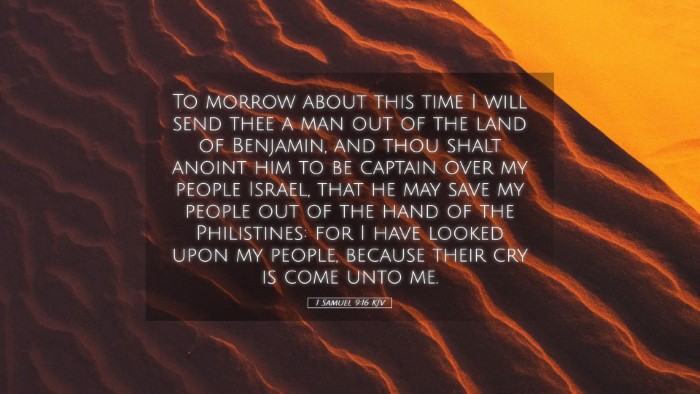 Picture 05 - 1 Samuel 9:16 KJV Desktop Wallpaper - To morrow about this time I will send thee a man - Desktop Bible Verse Wallpaper