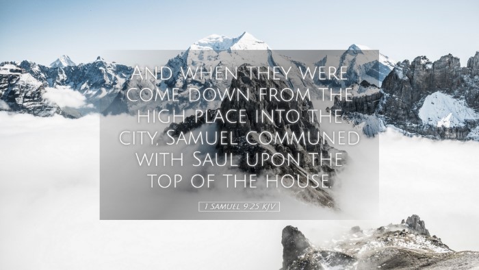 Picture 05 - 1 Samuel 9:25 KJV Desktop Wallpaper - And when they were come down from the high place - Desktop Bible Verse Wallpaper