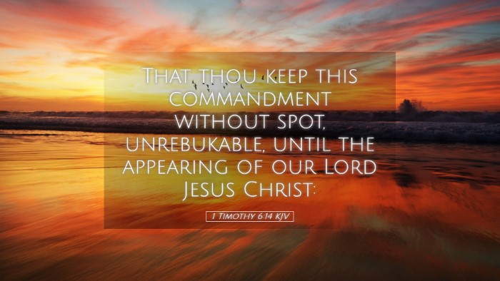 Picture 05 - 1 Timothy 6:14 KJV Desktop Wallpaper - That thou keep this commandment without spot, - Desktop Bible Verse Wallpaper