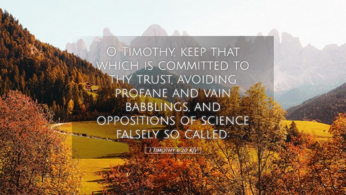 Picture 05 - 1 Timothy 6:20 KJV Desktop Wallpaper - O Timothy, keep that which is committed to thy - Desktop Bible Verse Wallpaper