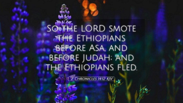 Picture 05 - 2 Chronicles 14:12 KJV Desktop Wallpaper - So the LORD smote the Ethiopians before Asa, and - Desktop Bible Verse Wallpaper