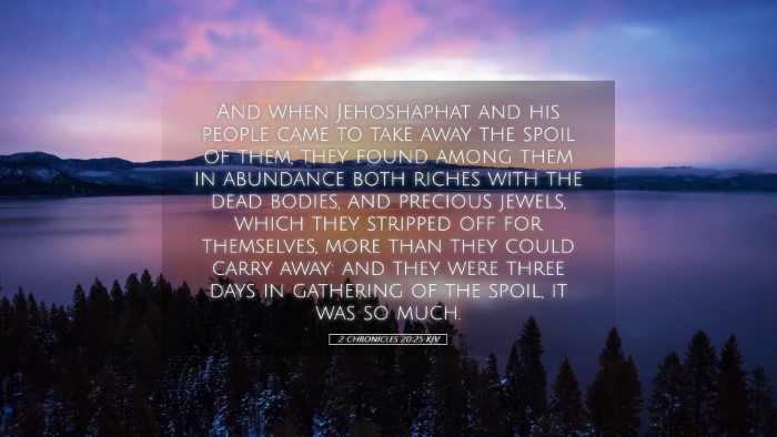 Picture 05 - 2 Chronicles 20:25 KJV Desktop Wallpaper - And when Jehoshaphat and his people came to take - Desktop Bible Verse Wallpaper