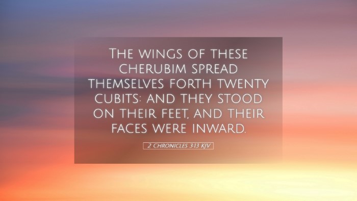 Picture 05 - 2 Chronicles 3:13 KJV Desktop Wallpaper - The wings of these cherubim spread themselves - Desktop Bible Verse Wallpaper