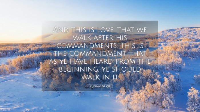 Picture 05 - 2 John 1:6 KJV Desktop Wallpaper - And this is love, that we walk after his - Desktop Bible Verse Wallpaper