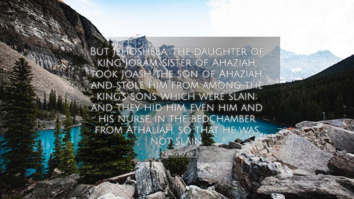 Picture 05 - 2 Kings 11:2 KJV Desktop Wallpaper - But Jehosheba, the daughter of king Joram, sister - Desktop Bible Verse Wallpaper