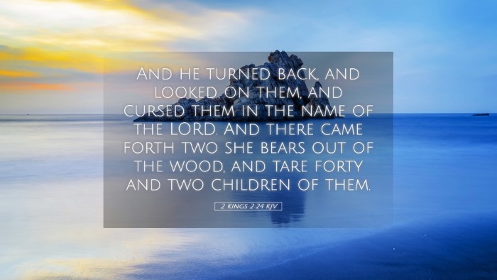 Picture 05 - 2 Kings 2:24 KJV Desktop Wallpaper - And he turned back, and looked on them, and - Desktop Bible Verse Wallpaper