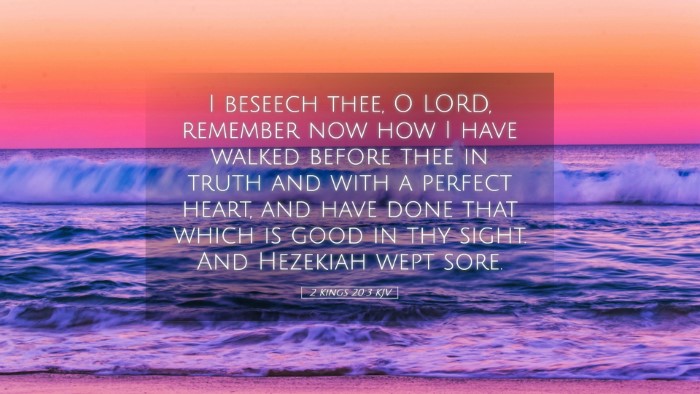 Picture 05 - 2 Kings 20:3 KJV Desktop Wallpaper - I beseech thee, O LORD, remember now how I have - Desktop Bible Verse Wallpaper