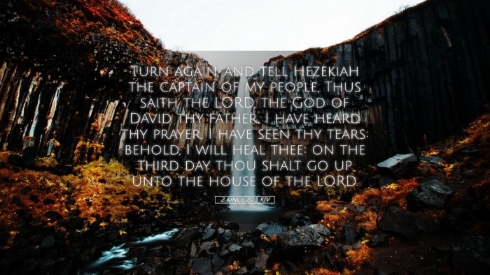 Picture 05 - 2 Kings 20:5 KJV Desktop Wallpaper - Turn again, and tell Hezekiah the captain of my - Desktop Bible Verse Wallpaper