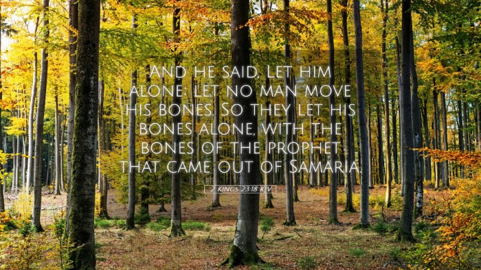 Picture 05 - 2 Kings 23:18 KJV Desktop Wallpaper - And he said, Let him alone; let no man move his - Desktop Bible Verse Wallpaper