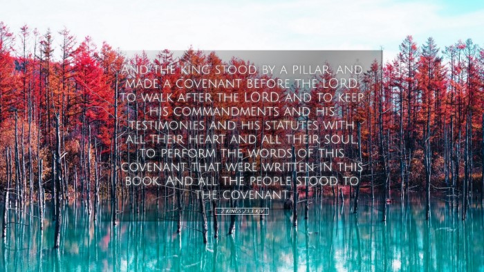 Picture 05 - 2 Kings 23:3 KJV Desktop Wallpaper - And the king stood by a pillar, and made a - Desktop Bible Verse Wallpaper