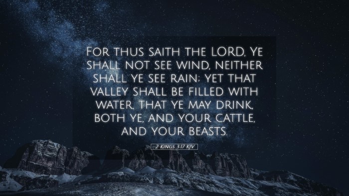 Picture 05 - 2 Kings 3:17 KJV Desktop Wallpaper - For thus saith the LORD, Ye shall not see wind, - Desktop Bible Verse Wallpaper