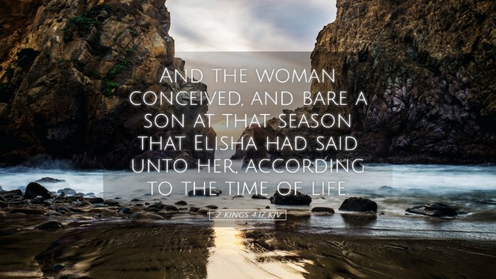 Picture 05 - 2 Kings 4:17 KJV Desktop Wallpaper - And the woman conceived, and bare a son at that - Desktop Bible Verse Wallpaper
