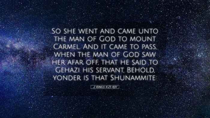 Picture 05 - 2 Kings 4:25 KJV Desktop Wallpaper - So she went and came unto the man of God to mount - Desktop Bible Verse Wallpaper