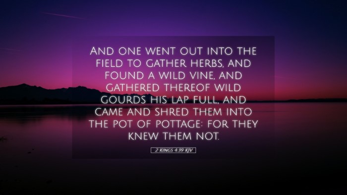 Picture 05 - 2 Kings 4:39 KJV Desktop Wallpaper - And one went out into the field to gather herbs, - Desktop Bible Verse Wallpaper