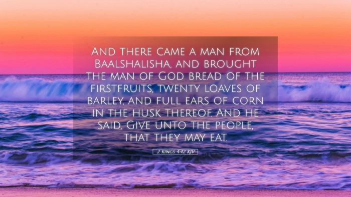 Picture 05 - 2 Kings 4:42 KJV Desktop Wallpaper - And there came a man from Baalshalisha, and - Desktop Bible Verse Wallpaper