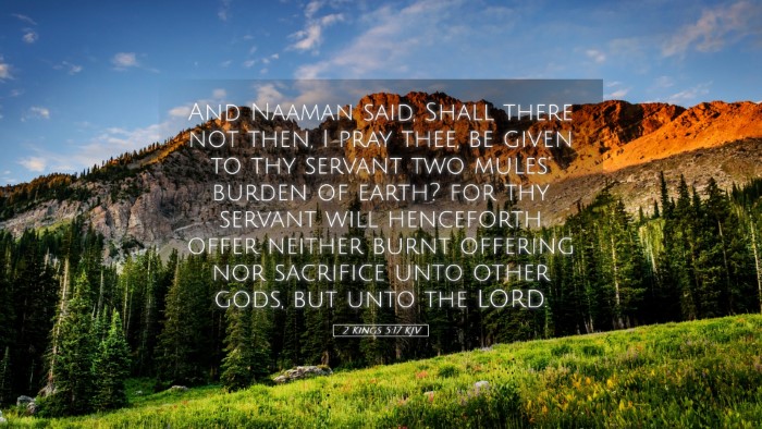 Picture 05 - 2 Kings 5:17 KJV Desktop Wallpaper - And Naaman said, Shall there not then, I pray - Desktop Bible Verse Wallpaper