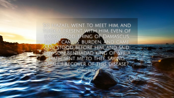 Picture 05 - 2 Kings 8:9 KJV Desktop Wallpaper - So Hazael went to meet him, and took a present - Desktop Bible Verse Wallpaper