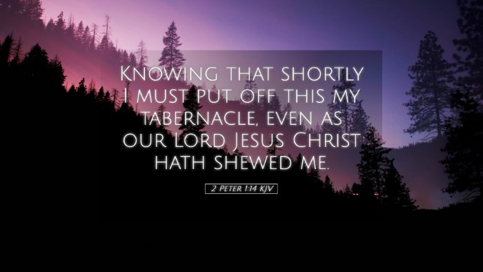 Picture 05 - 2 Peter 1:14 KJV Desktop Wallpaper - Knowing that shortly I must put off this my - Desktop Bible Verse Wallpaper