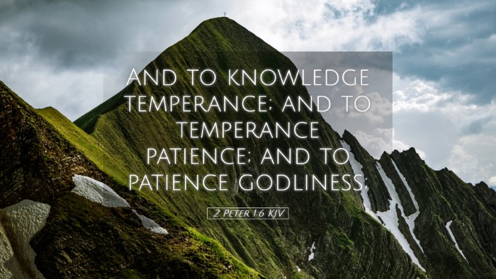 Picture 05 - 2 Peter 1:6 KJV Desktop Wallpaper - And to knowledge temperance; and to temperance - Desktop Bible Verse Wallpaper