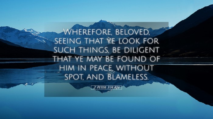 Picture 05 - 2 Peter 3:14 KJV Desktop Wallpaper - Wherefore, beloved, seeing that ye look for such - Desktop Bible Verse Wallpaper