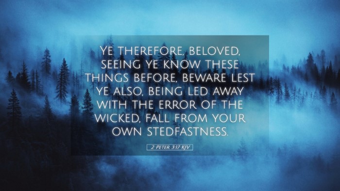 Picture 05 - 2 Peter 3:17 KJV Desktop Wallpaper - Ye therefore, beloved, seeing ye know these - Desktop Bible Verse Wallpaper