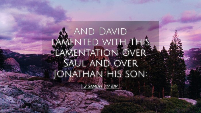 Picture 05 - 2 Samuel 1:17 KJV Desktop Wallpaper - And David lamented with this lamentation over - Desktop Bible Verse Wallpaper