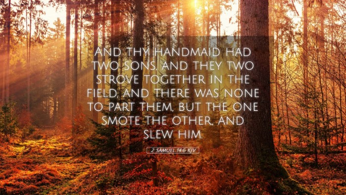 Picture 05 - 2 Samuel 14:6 KJV Desktop Wallpaper - And thy handmaid had two sons, and they two - Desktop Bible Verse Wallpaper