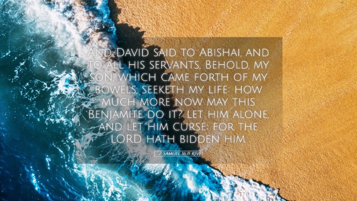 Picture 05 - 2 Samuel 16:11 KJV Desktop Wallpaper - And David said to Abishai, and to all his - Desktop Bible Verse Wallpaper