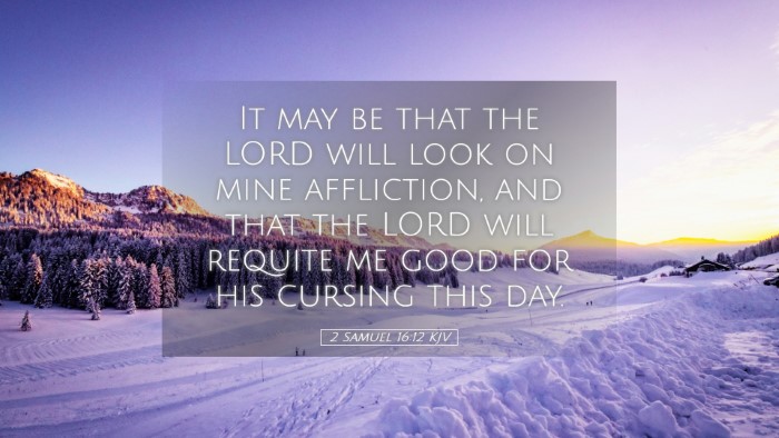 Picture 05 - 2 Samuel 16:12 KJV Desktop Wallpaper - It may be that the LORD will look on mine - Desktop Bible Verse Wallpaper
