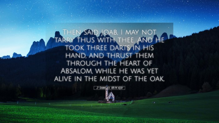 Picture 05 - 2 Samuel 18:14 KJV Desktop Wallpaper - Then said Joab, I may not tarry thus with thee. - Desktop Bible Verse Wallpaper